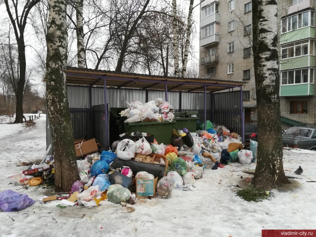 Мэрия Владимира поможет в уборке мусора до полной нормализации ситуации