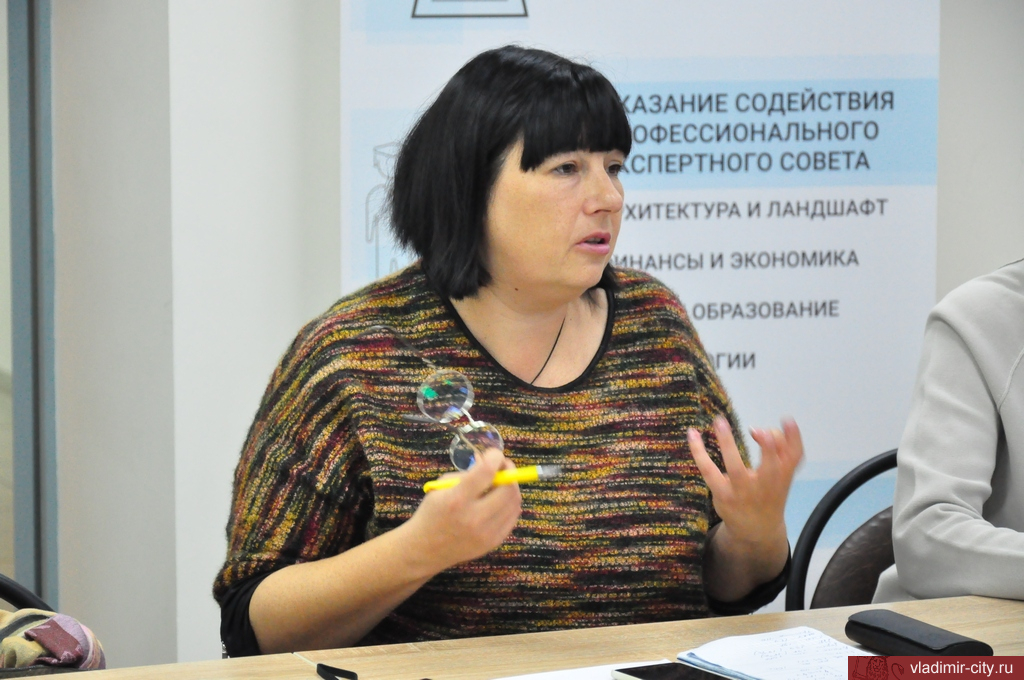 Гражданские активисты Владимира инициировали «Декларацию городских сообществ»