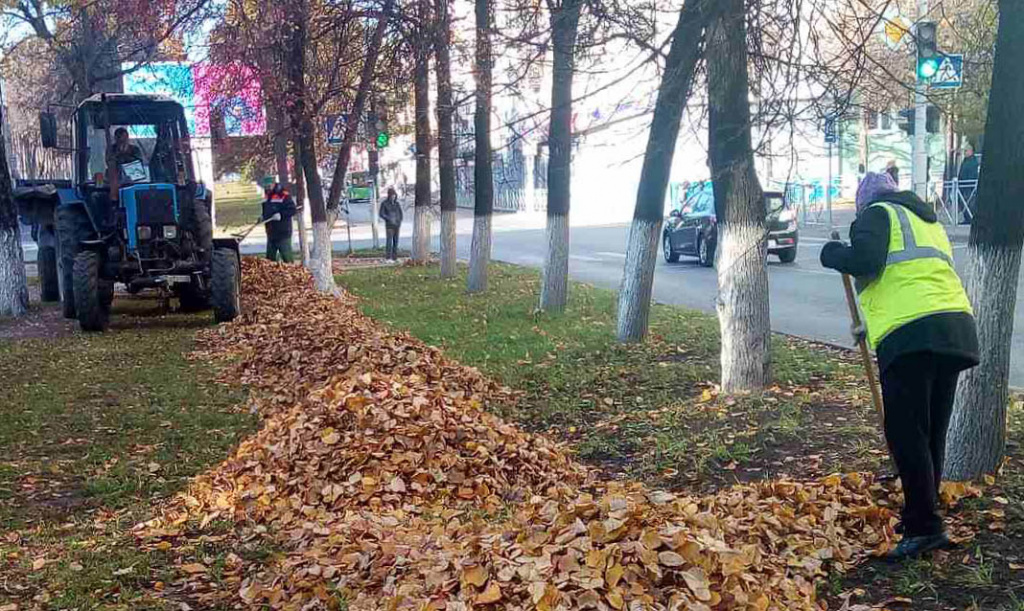 Во Владимире ежедневно идут работы по осеннему благоустройству города