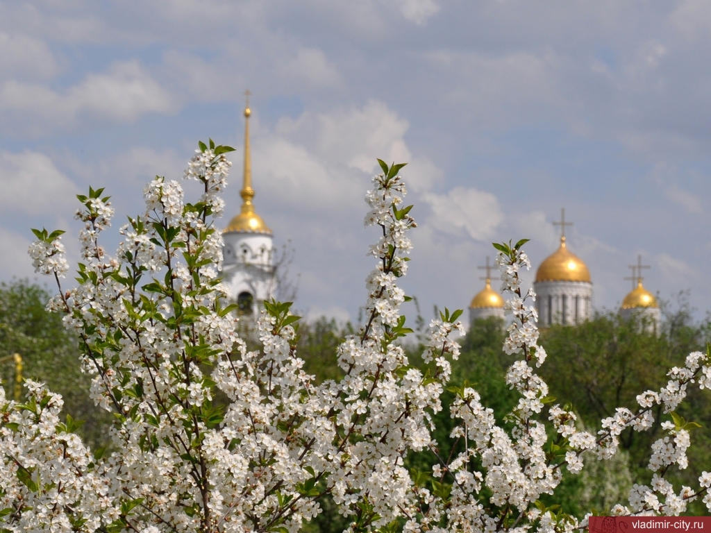 Май в городе картинки