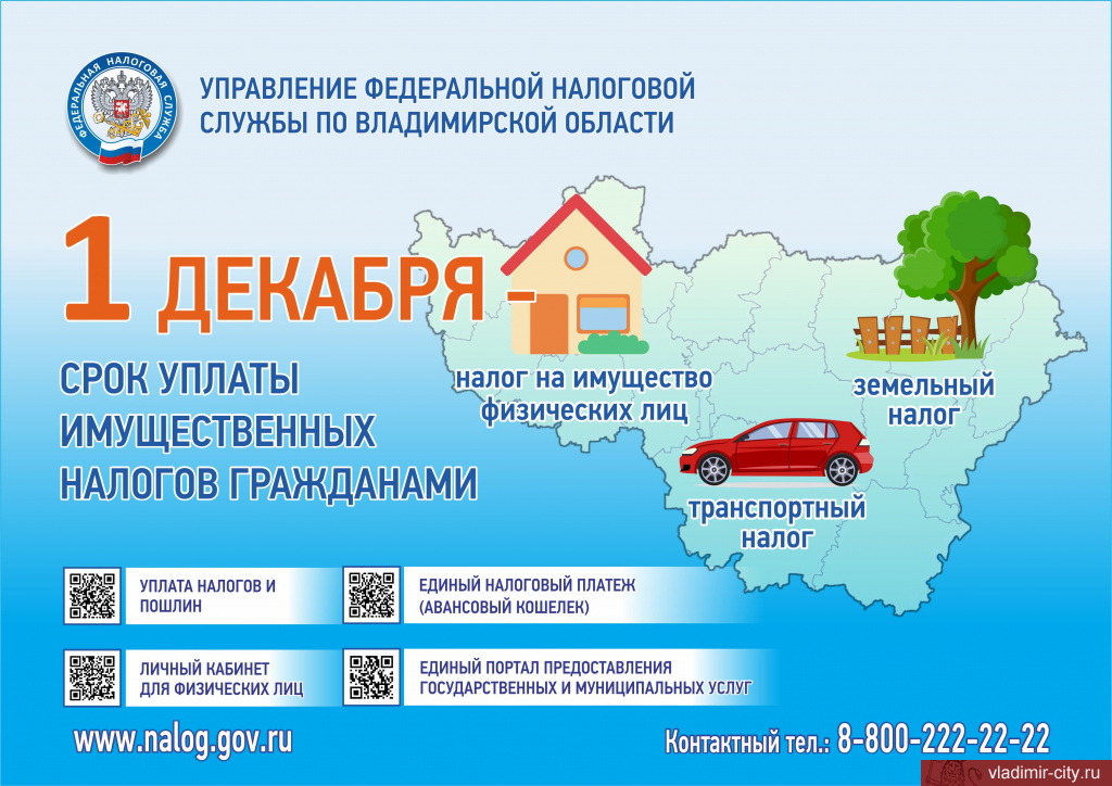 Какой налог до 1 декабря. Какой налог до 1 декабря