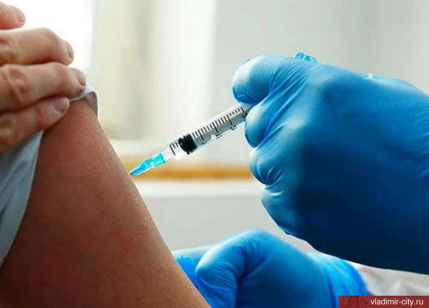 За время прививочной кампании во Владимир поступило более 125 тыс. доз вакцины против ковида