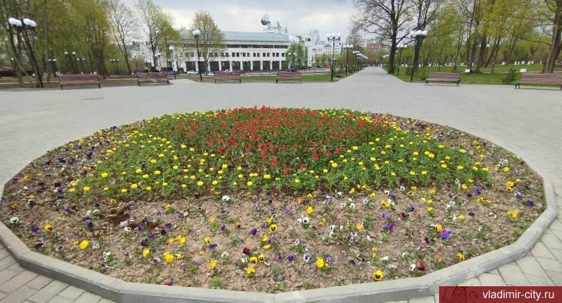 Во Владимире за сезон планируется высадить более 250 тысяч цветов