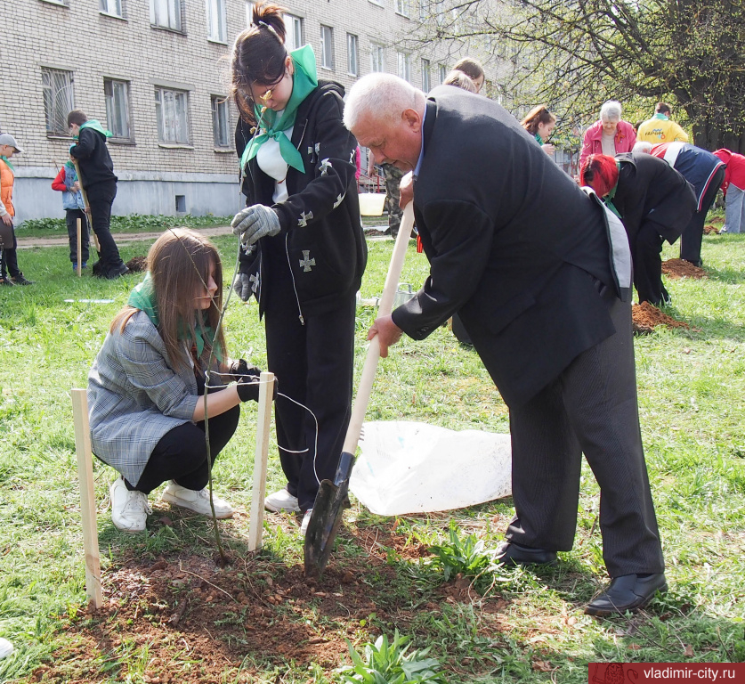 Владимирцы участвуют в международной акции «Сад памяти»