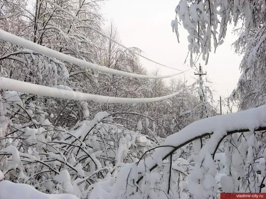 О неблагоприятных погодных явлениях | 24.12.2023 | Владимир - БезФормата